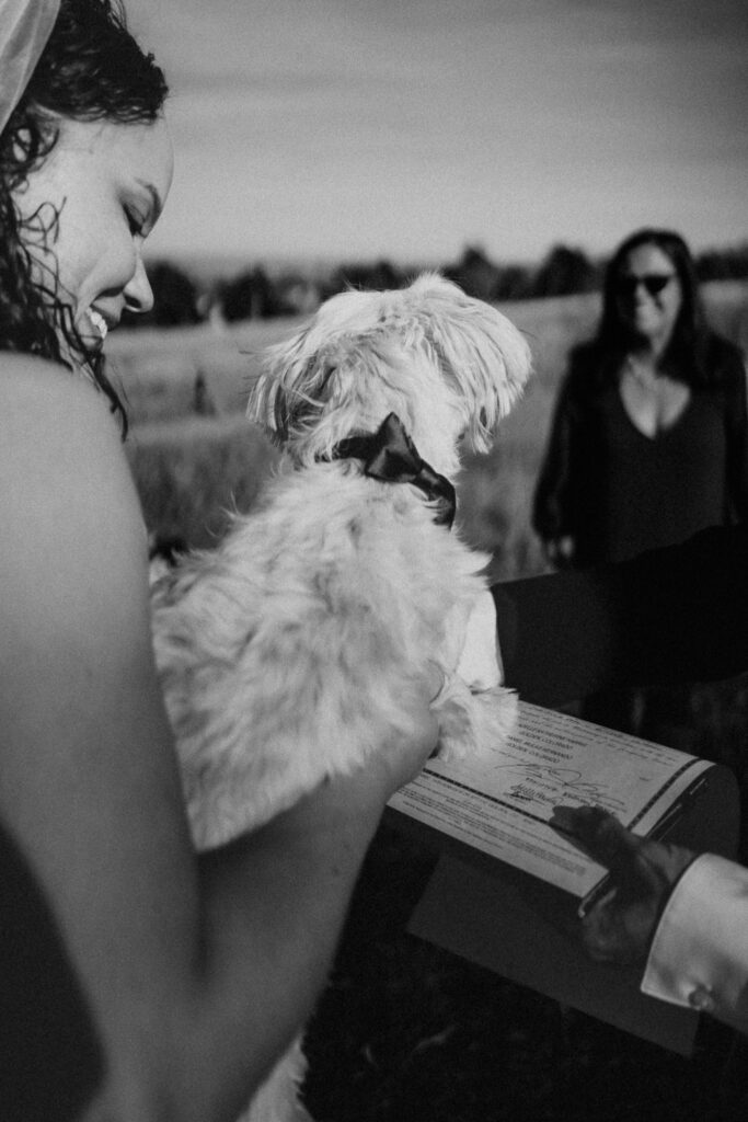 Couple with dog at Chautauqua Park elopement